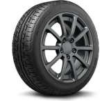  Bfgoodrich Advantage Go 215/60r16 95h
