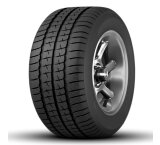  Aptany Winterforce Rw103 195/75r16c 107/105t