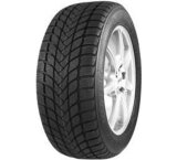  Mastersteel Winter + Is-w 205/50r17 93h