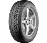  Pace Antarctica 5 195/55r16 87h