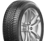  Fortune Nivalis Winter Pro 255/45r20 105v