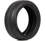  Delinte Winter Wd1 255/45r19 100h