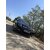 Opel Signum