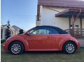 VW New Beetle
